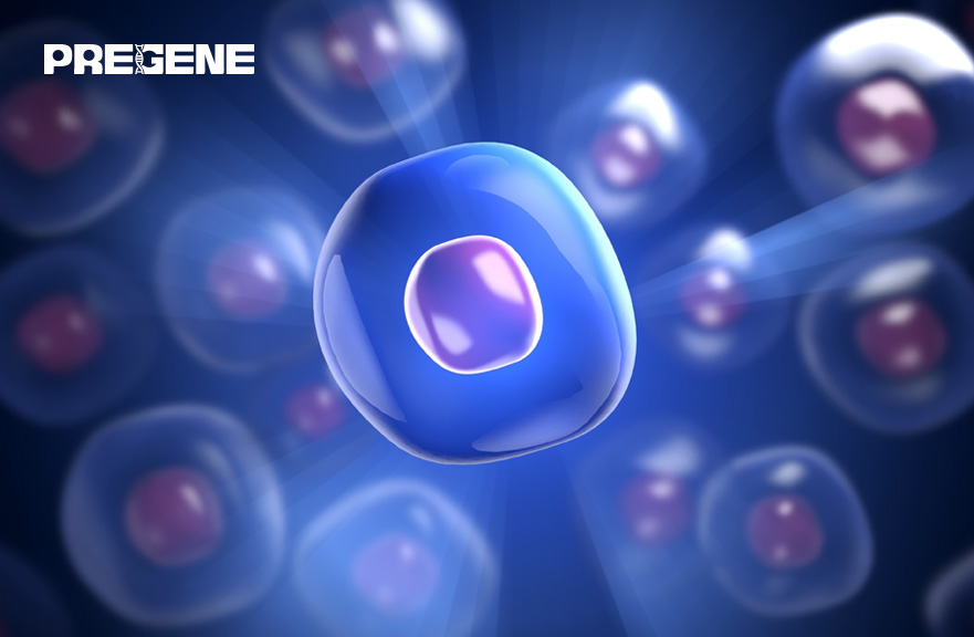 普瑞金生物药业